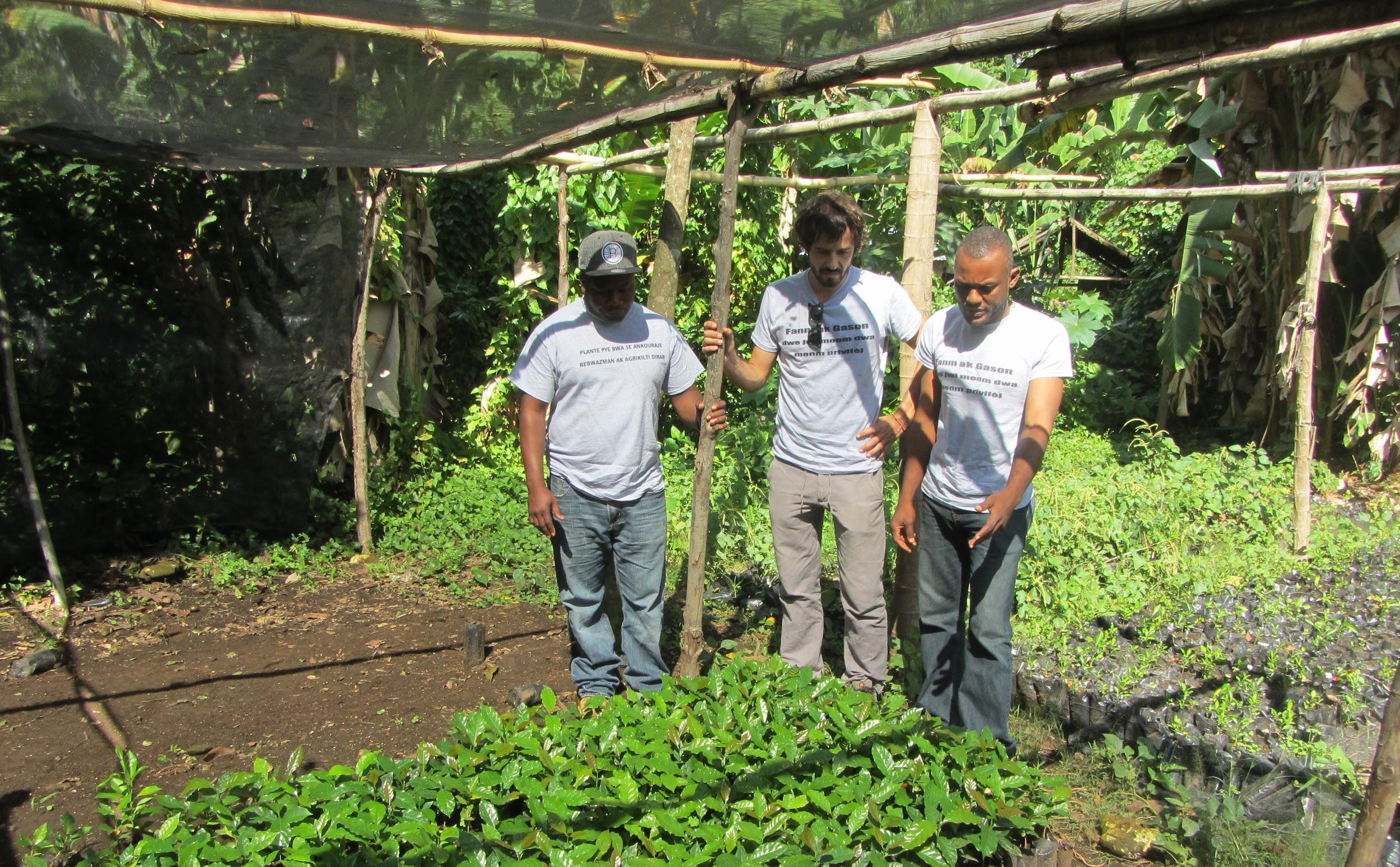 Vivero de árboles para reforestación del Sudeste de Haití
