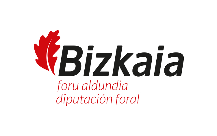 Diputación Foral de Bizkaia