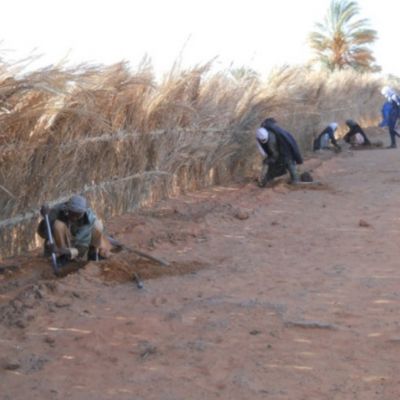 Preparación de los viveros comunales, para la plantación de plantones en Gouro.