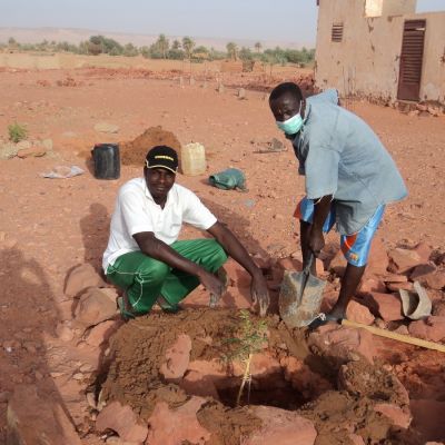 Planción de una acacia cerca de escuelas y centro de salud en Gouro.