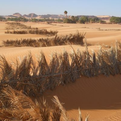 Protección mecánica para contener el avance de la arena por los vientos en Gouro.