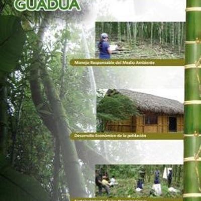 Material informativo del proyecto de mejoramiento de caña guadua.