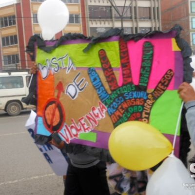 Jóvenes y adolescentes participan en la campaña de concienciación sobre los derechos sexuales y reproductivos en el Alto y Chulumani.