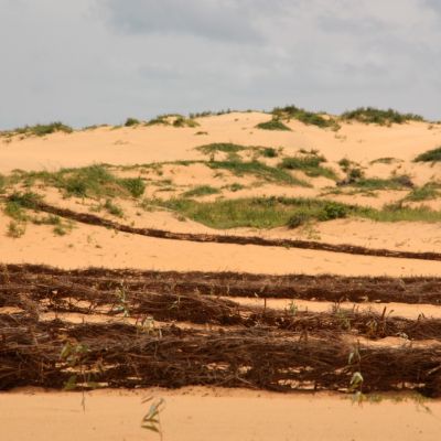Instalación de paneles naturales para la fijación de las dunas. Kebemer, Senegal.