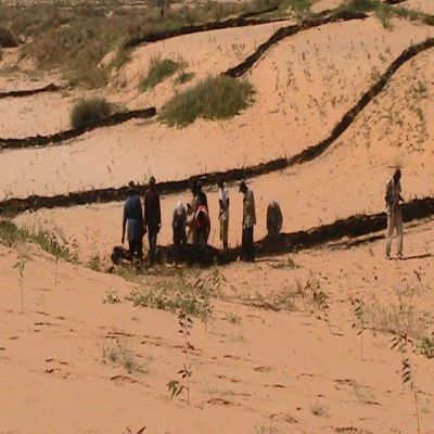 Implantación de paneles para frenar el avance de las dunas. Kebemer, Senegal.