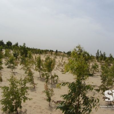 Reforestación. Kebemer, Senegal.