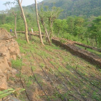 Construcción de Barreras Muertas a Curvas de Nivel, Departamento de Chinandega.