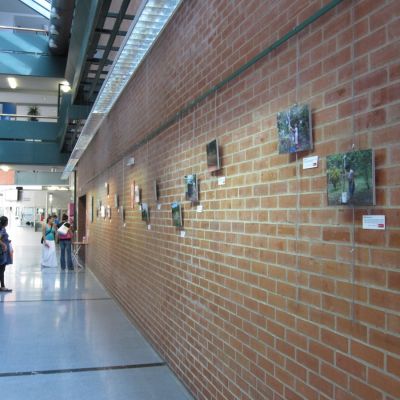 Exposición en Vitoria-Gasteiz, Palacio de Europa.