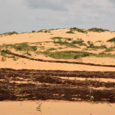 Acciones medioambientales de Solidaridad Internacional en Senegal.