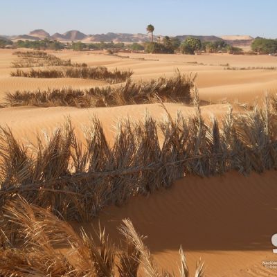 Acciones medioambientales de Solidaridad Internacional en Chad .