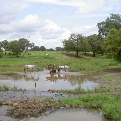 Agua, fuente de vida en Senegal.