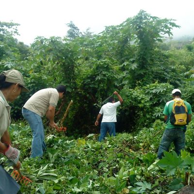 Campan?a comunitaria de limpieza a cargo de una unidad medioambiental.