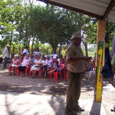 Consultas, nutrición, formación.