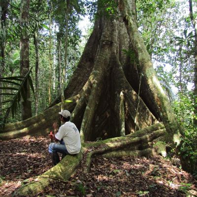 Flora y Fauna locales, Aguarico, provincia de Orellana, Ecuador.